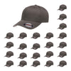 Flexfit Cotton Twill Cap 5001