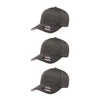 Flexfit Cotton Twill Cap 5001
