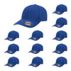 Flexfit Cotton Twill Cap 5001