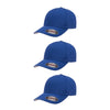 Flexfit Cotton Twill Cap 5001