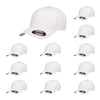 Flexfit Cotton Twill Cap 5001